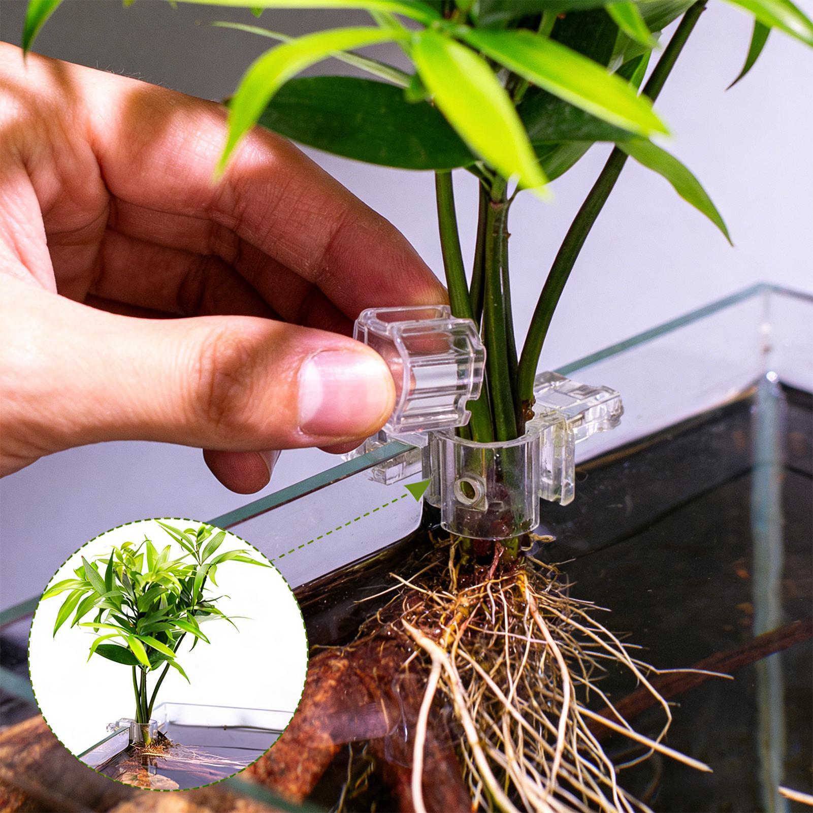Plant Aquarium Pot - Mini Fish Tank Planter Pot 6Pcs
