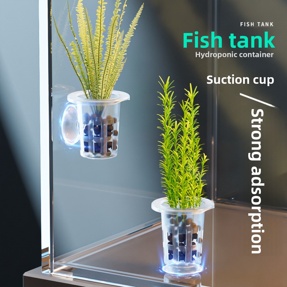 10Pcs Transparent Plant Hydrop - Aquarium Plant Holder recension och pris