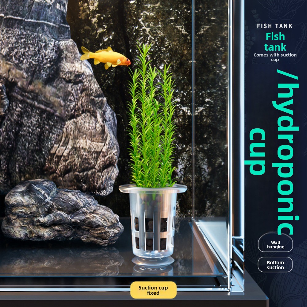 10Pcs Transparent Plant Hydrop - Aquarium Plant Holder recension och pris