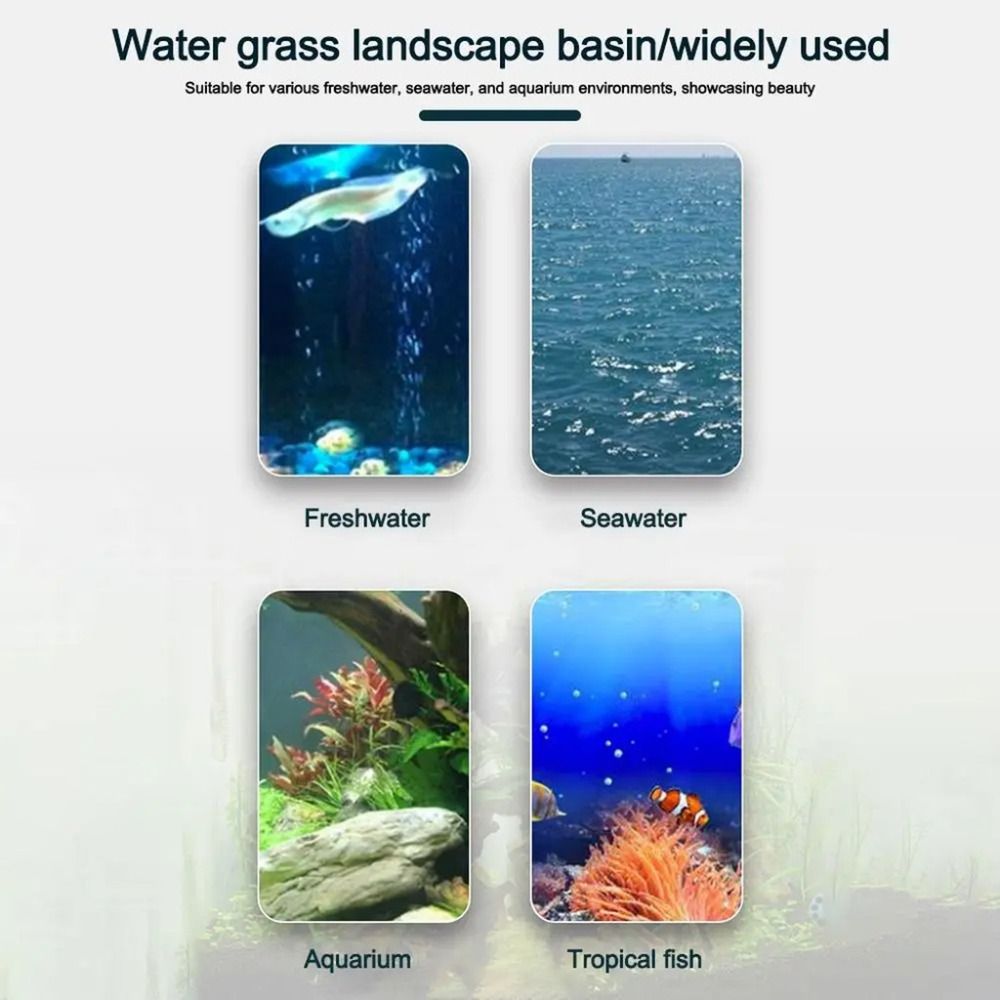 10Pcs Transparent Plant Hydrop - Aquarium Plant Holder recension och pris
