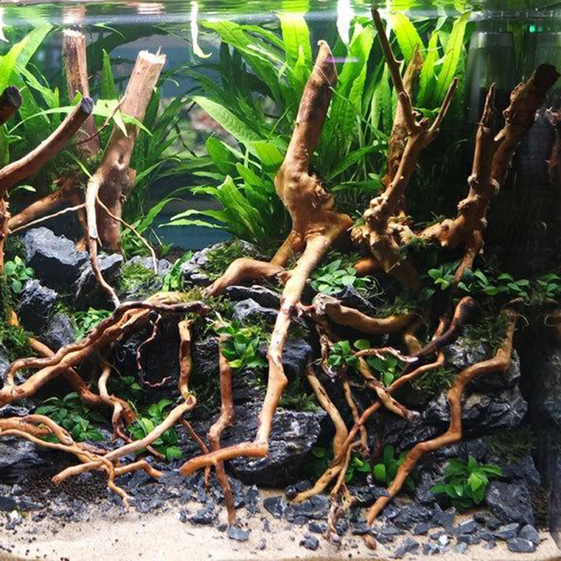 Natural Driftwood Root Trunk T - Aquarium Driftwood recension och pris