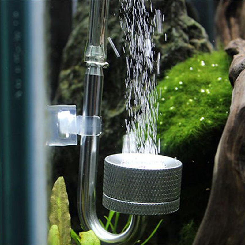 B84B-6X Set CO2 Diffuser Atomi - Aquarium Moss recension och pris