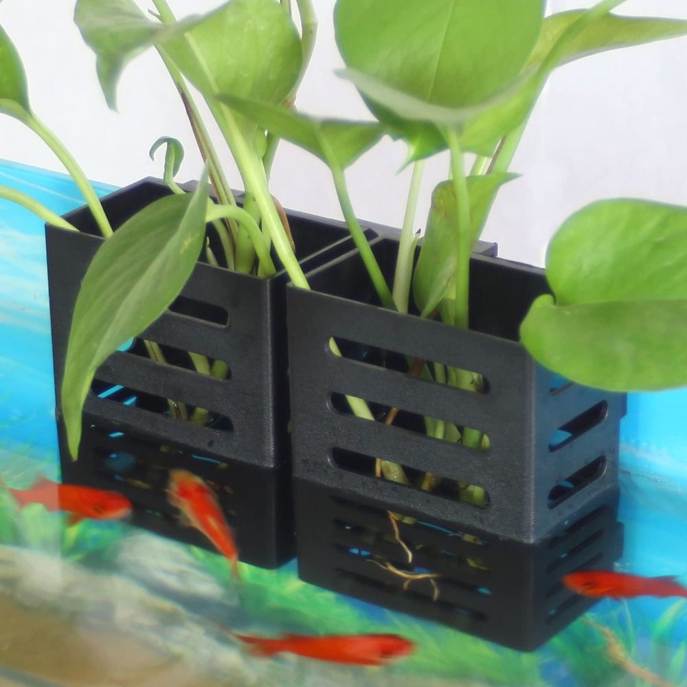 Aquarium Fish Tank Plant Holde - Aquarium Plant Holder recension och pris