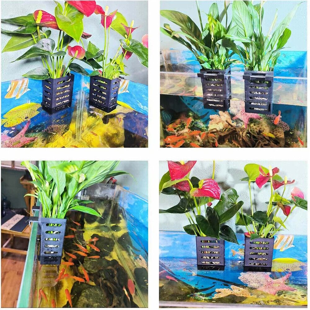 Aquarium Fish Tank Plant Holde - Aquarium Plant Holder recension och pris