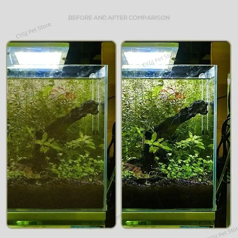 Fish Tank Cleaning Tool Flat S - Planted Aquarium Cleaning recension och pris