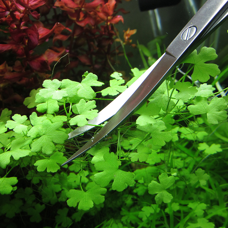 Aquarium Accessories Hard Stai - Planted Aquarium Cleaning recension och pris
