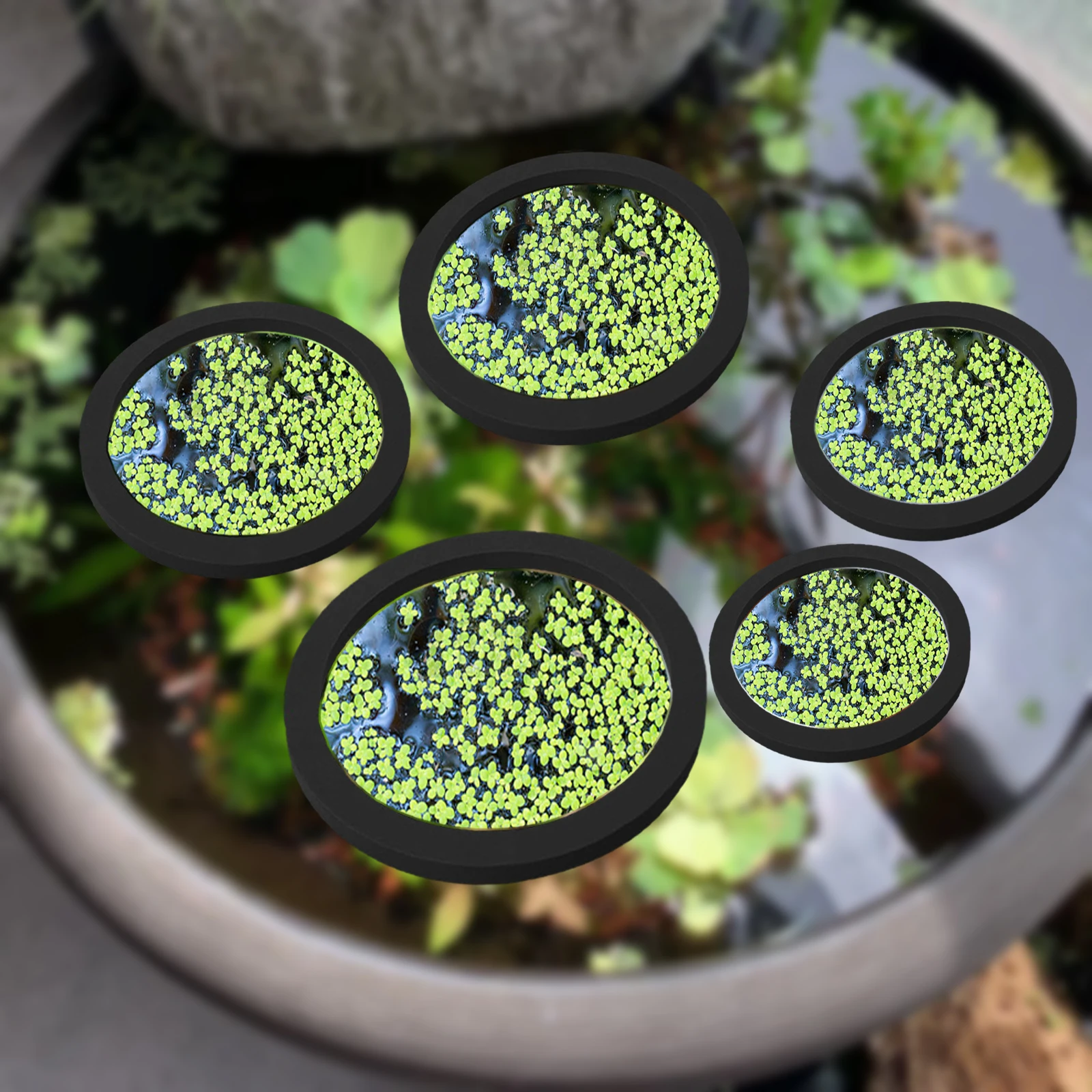 5Pcs EVA Fish Feeding Ring Aqu - Planted Tank recension och pris