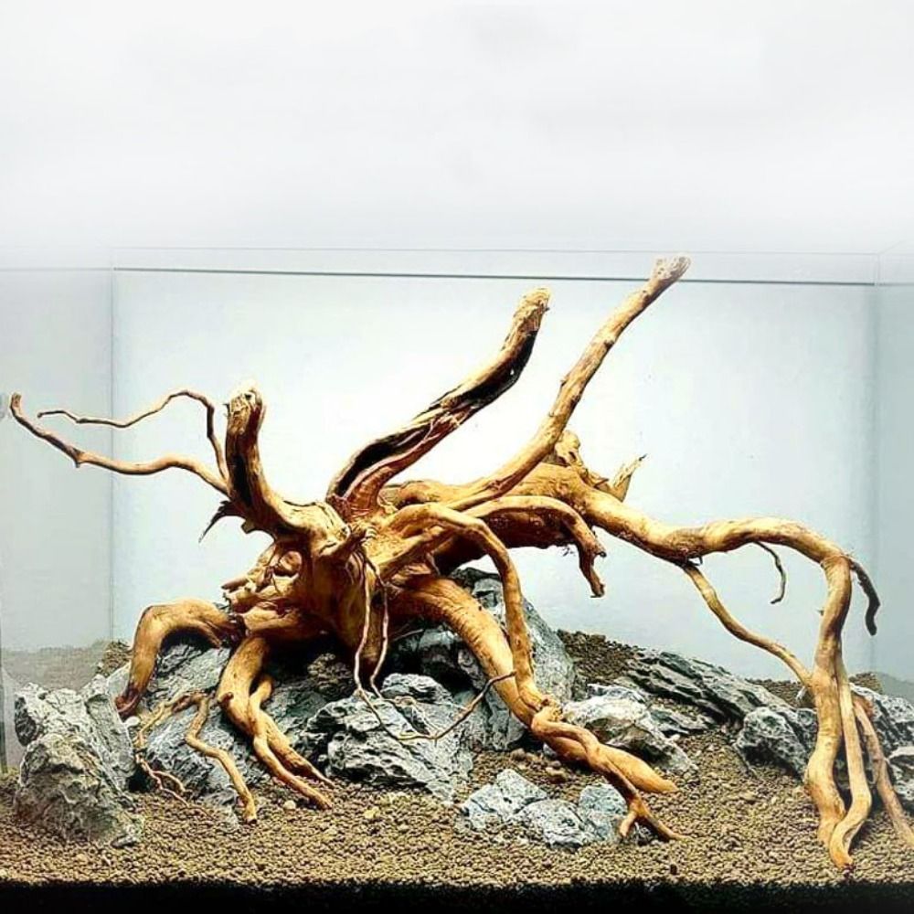 20-25CM Large Aquarium Driftwo - Aquarium Driftwood recension och pris