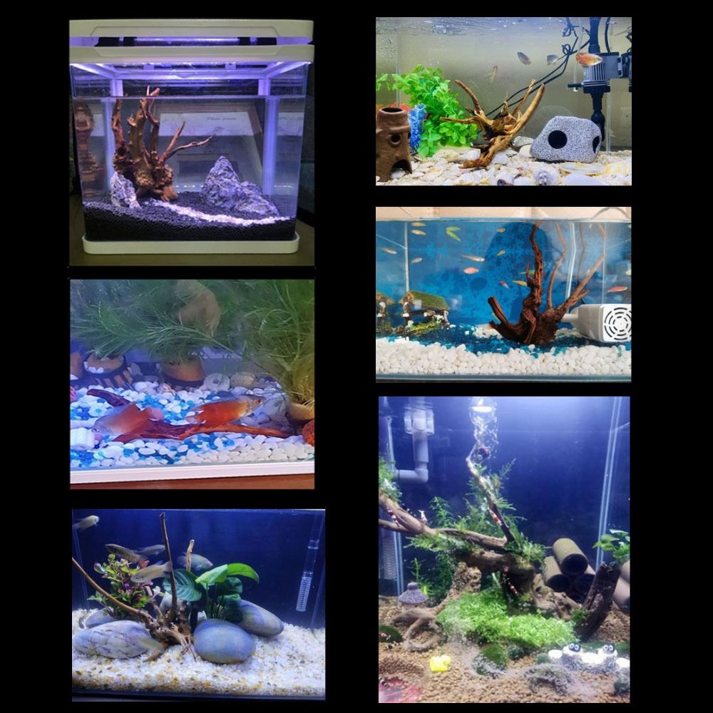20-25CM Large Aquarium Driftwo - Aquarium Driftwood recension och pris