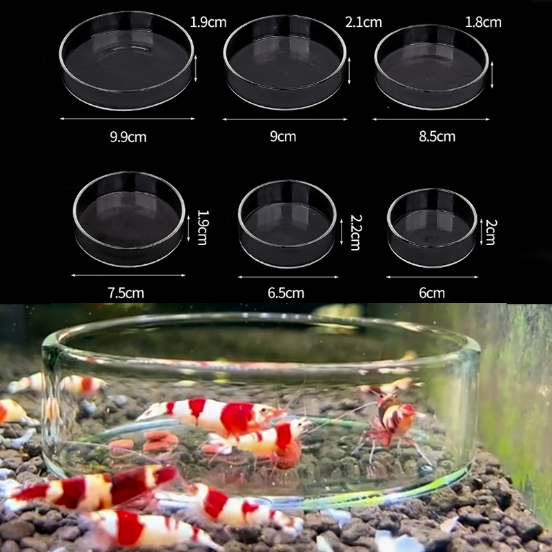 Shrimp Feeding Dish High Trans - Aquarium Fertilizer recension och pris