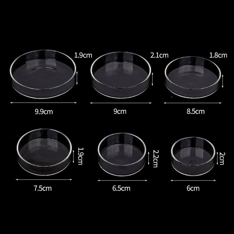 Shrimp Feeding Dish High Trans - Aquarium Fertilizer recension och pris
