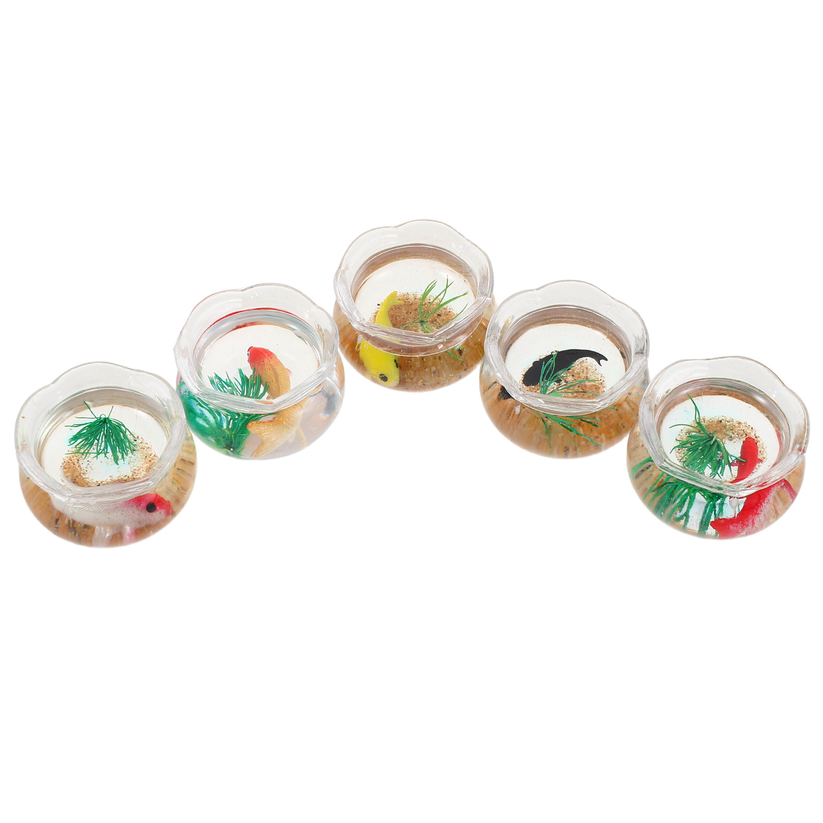 5pcs Miniature Koi Fish Tank:  - Planted Tank recension och pris