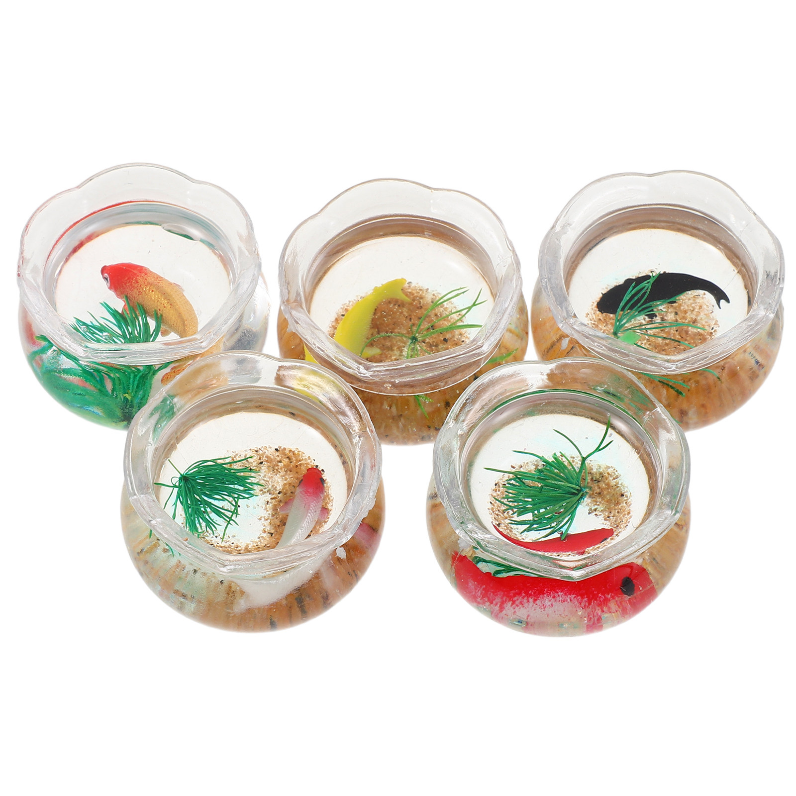 5pcs Miniature Koi Fish Tank:  - Planted Tank recension och pris